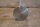Auslassventil OM621 180Dc, 190Dc, 200D