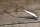 Wischerarme (Satz) W108/W109